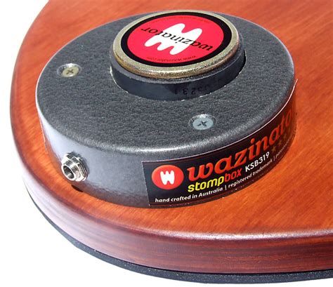 best acoustic electric stomp box|wazinator stompbox.